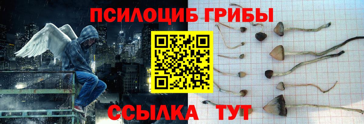 Галлюциногенные грибы Psilocybe  Вход с VPN  Верхняя Пышма 