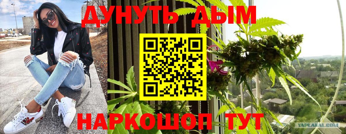 Бошки марихуана Amnesia Верхняя Пышма